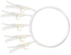 Zebco Holografix Heringsvorfach 8 Zebco Holografix Heringsvorfach -Angeln Angebote 3449001f0SqRtwnWJvXF 1280x1280